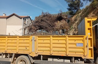 Gemlik’te Bahar Temizliği